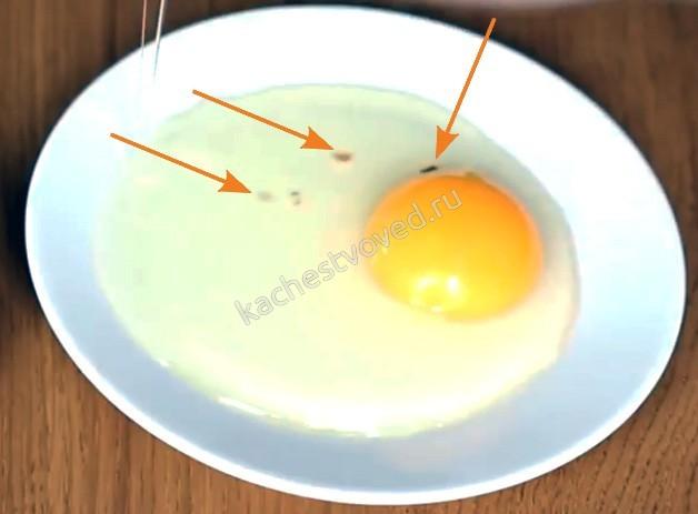 Разбитое тухлое яйцо на тарелке, фото