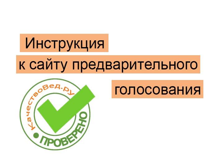 pg.er.ru предварительное онлайн голосование 2021 зарегистрироваться